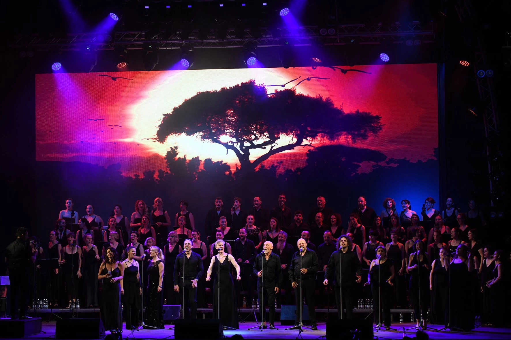 Produzione spettacoli - Broadway Celebration